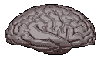 [IMAGE] 90% Brain